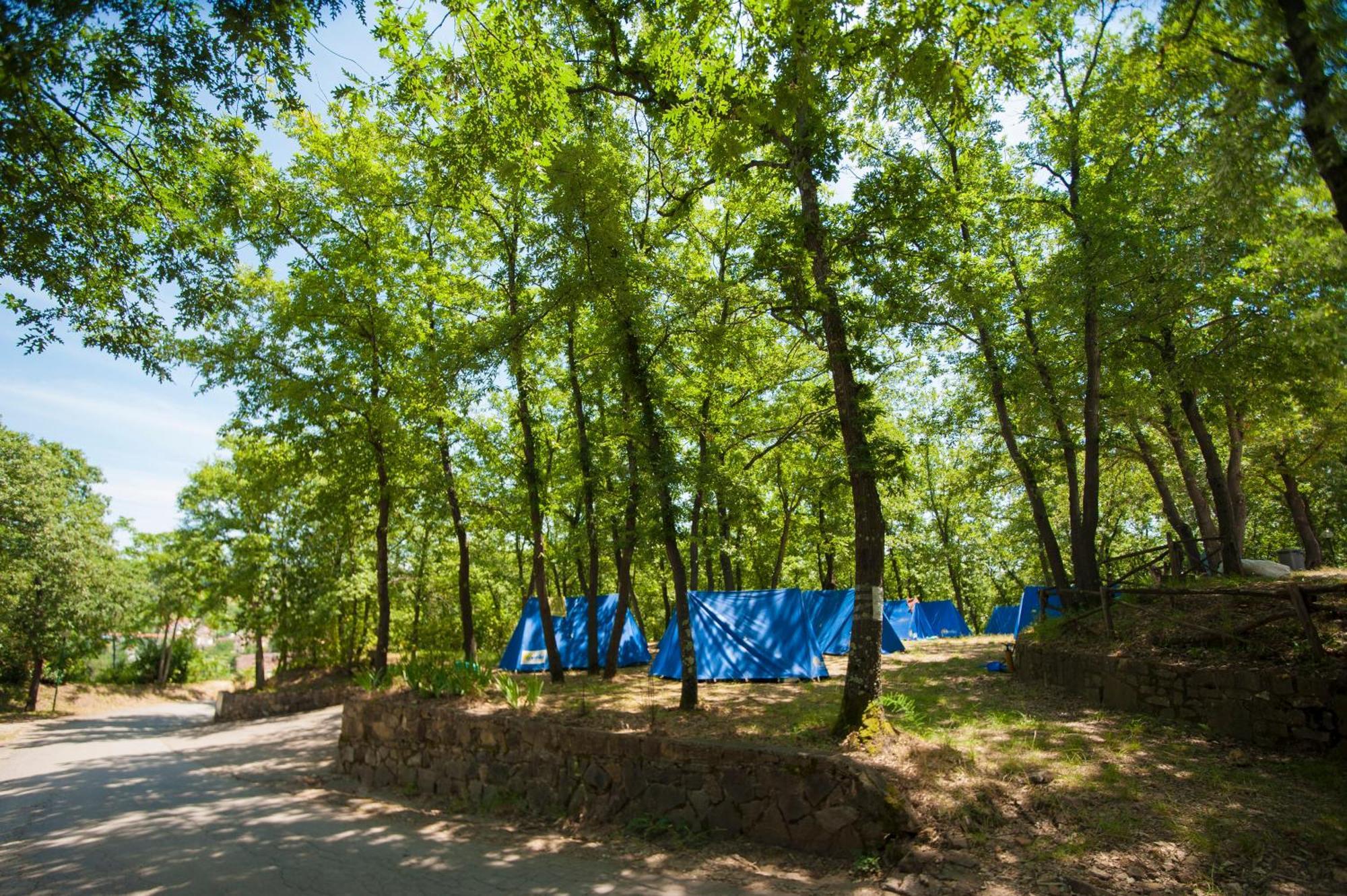 Hu Firenze Certosa Camping In Town Impruneta Eksteriør bilde